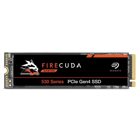 Seagate M.2 2TB FireCuda 530R NVME M.2 PCIe 4.0 x4 ZP2000GM3A073 con dissipatore