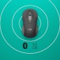 Mouse Logitech Signature M650 for Business Wireless Graphit (910-006274)