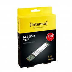 Hard Disk SSD M.2 SATA Intenso 256GB TOP 3832440
